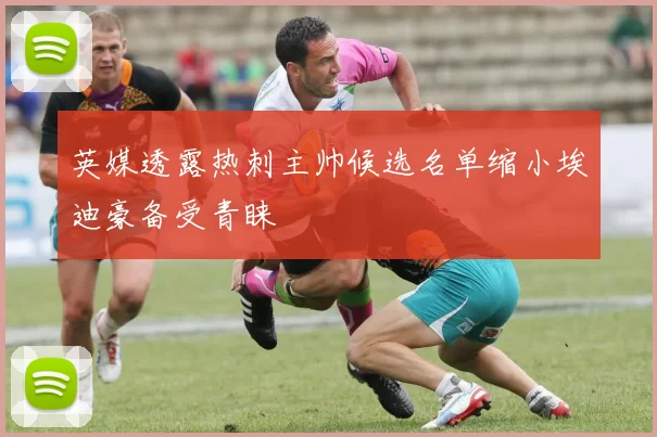 英媒透露热刺主帅候选名单缩小埃迪豪备受青睐
