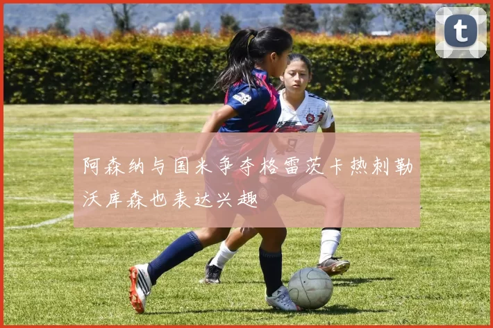 阿森纳与国米争夺格雷茨卡热刺勒沃库森也表达兴趣