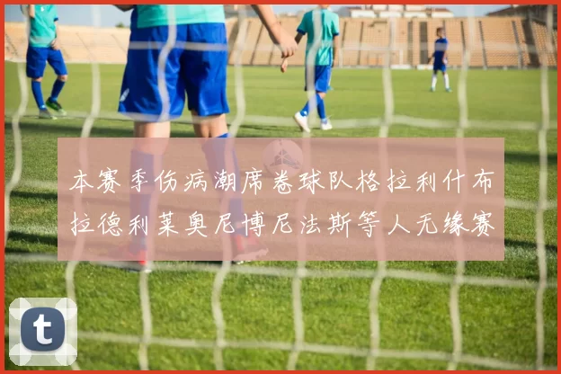 本赛季伤病潮席卷球队格拉利什布拉德利莱奥尼博尼法斯等人无缘赛季余下比赛